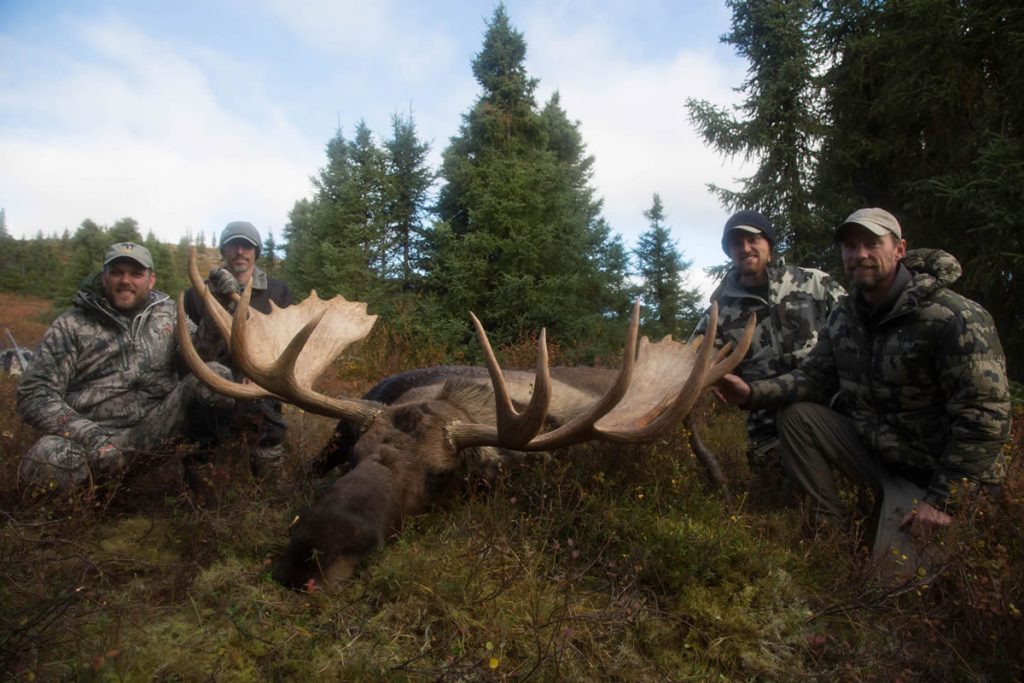 moose hunting trips alaska