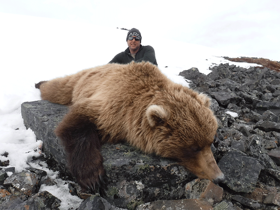 Grizzly hunt - Arctic North Guides.