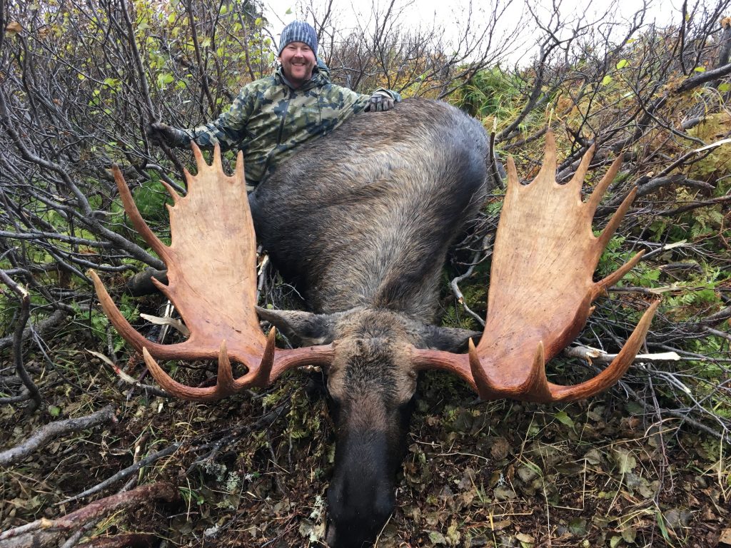 moose hunting trips alaska