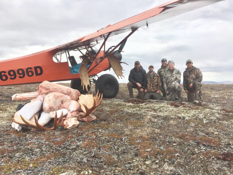 Alaska Hunting and Fishing Arctic North Guides
