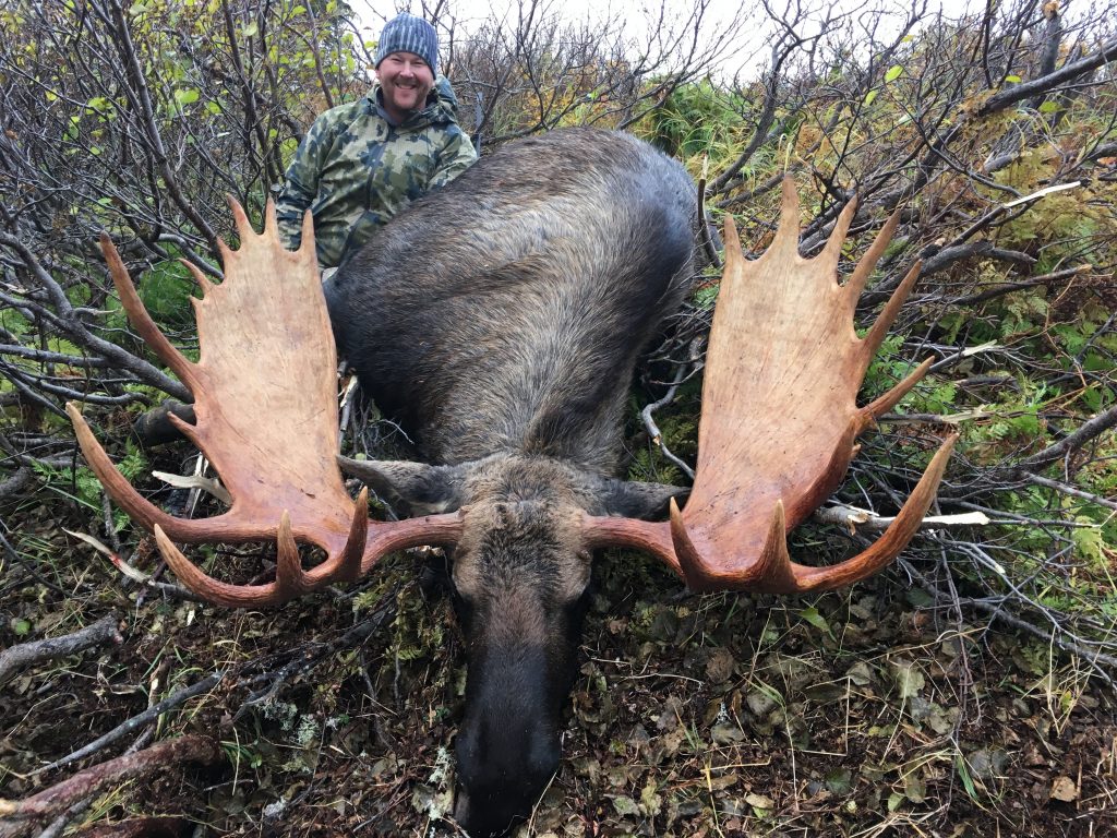Hunting Moose in Alaska.