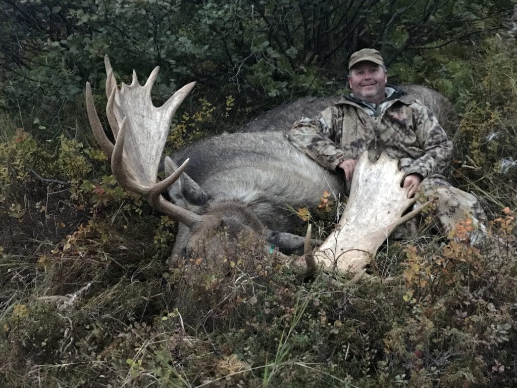 Alaska Moose hunt with Arctic North Guides.