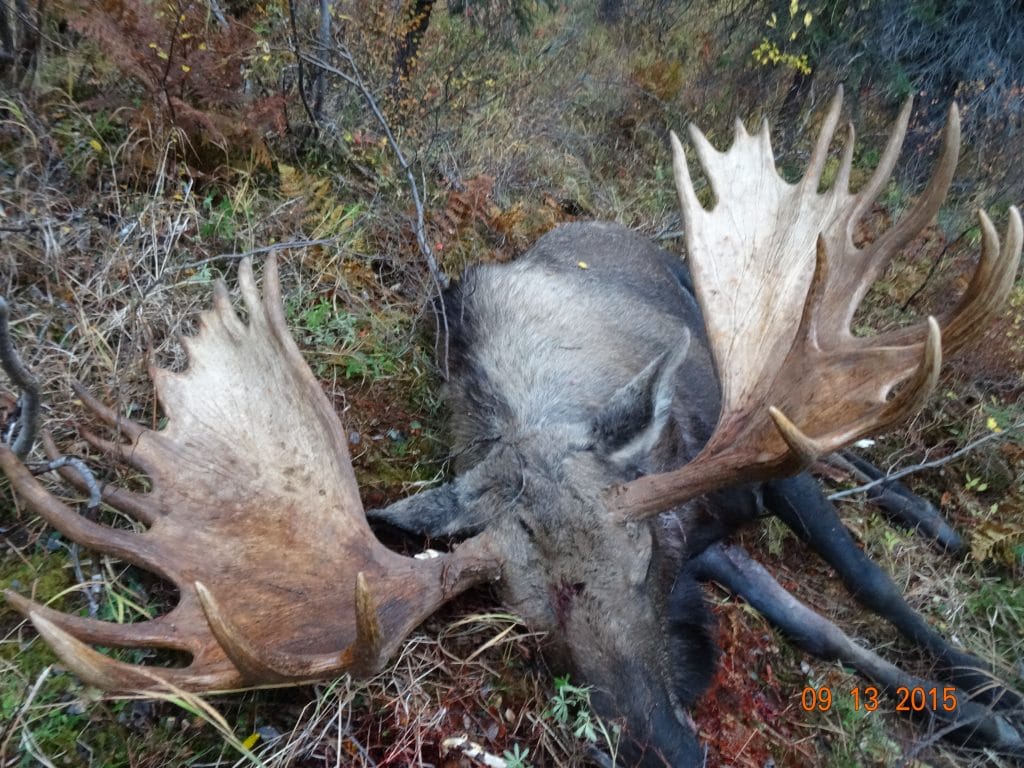 alaska hunting trip