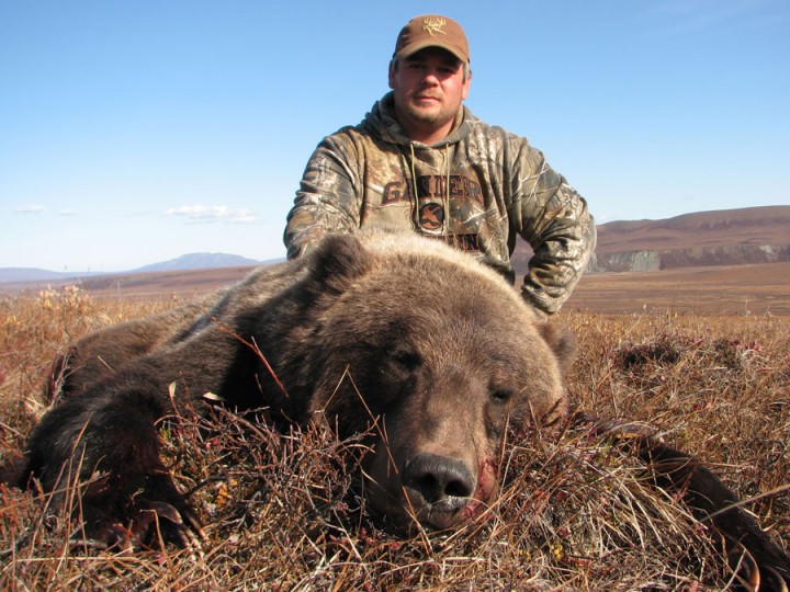 Bear Hunting with Arctic North Guides.