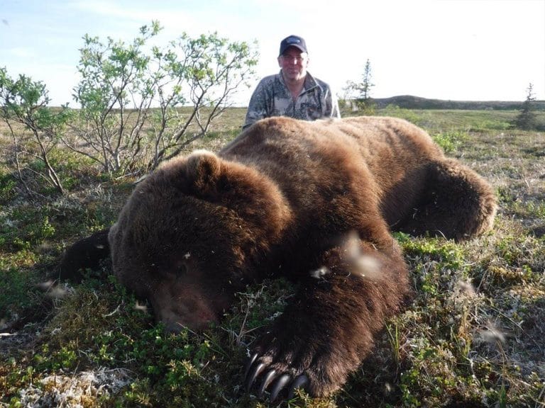 Grizzly Bear Hunting Gallery | Arctic North Guides