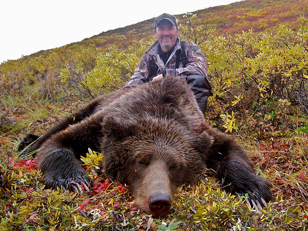 Grizzly Bear Hunting Gallery | Arctic North Guides